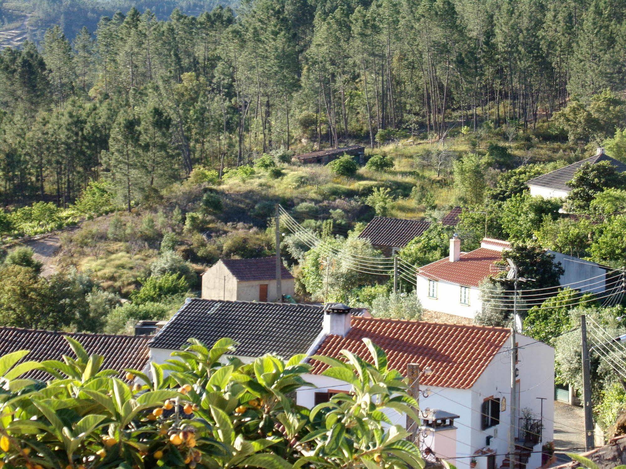Вілла Casas Dos Carregais Екстер'єр фото